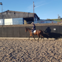 private-lesson private-lesson